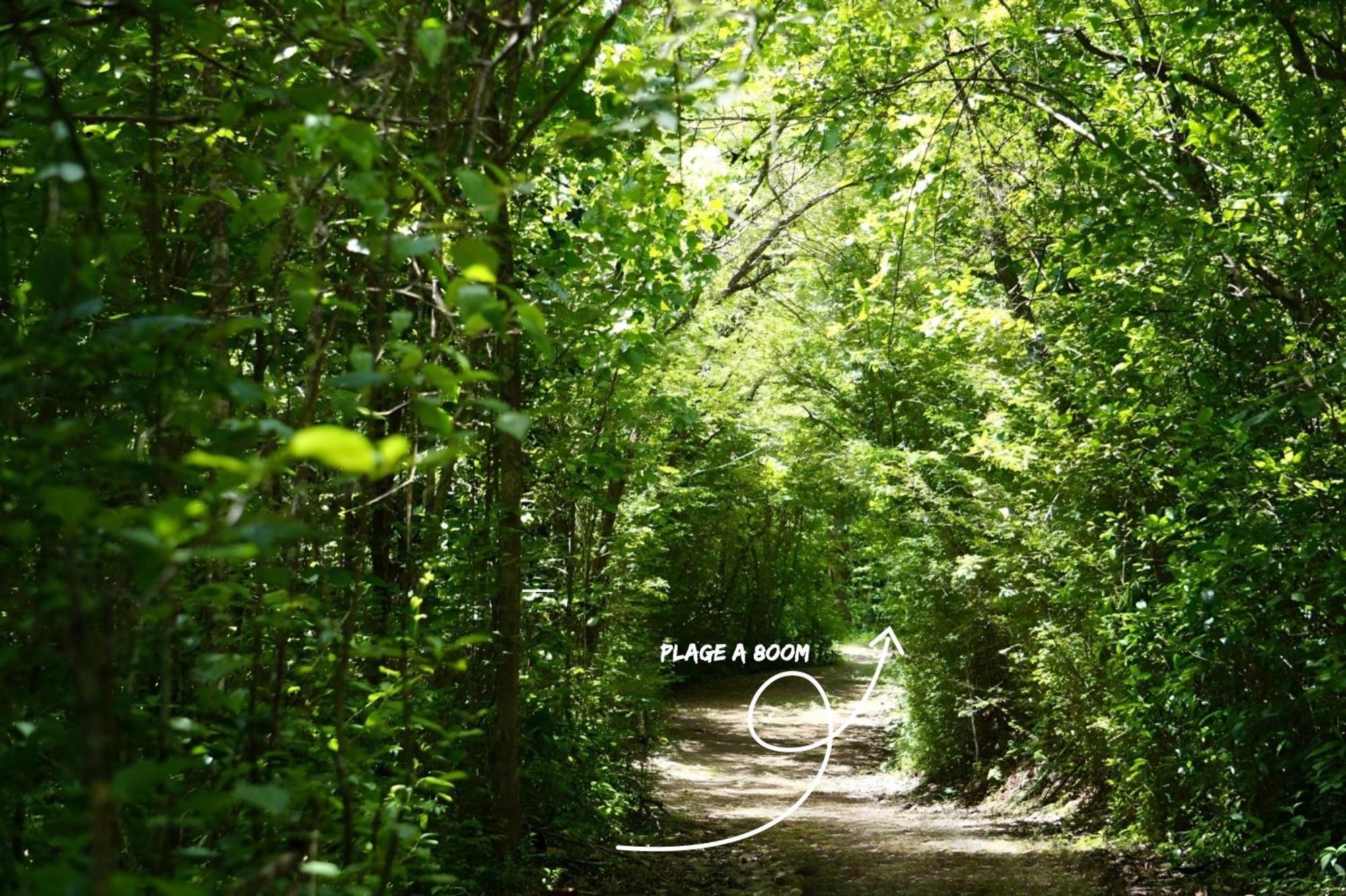 Aparthotel Domaine De L'Anse Ramier Les Trois-Ilets Zewnętrze zdjęcie